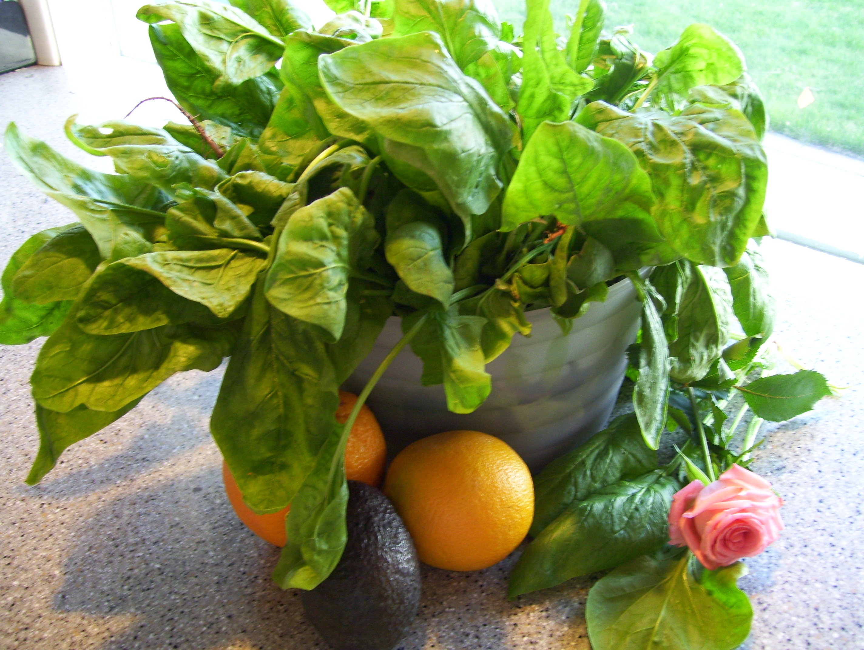 A Spinach Bouquet from the organic farm where my son works