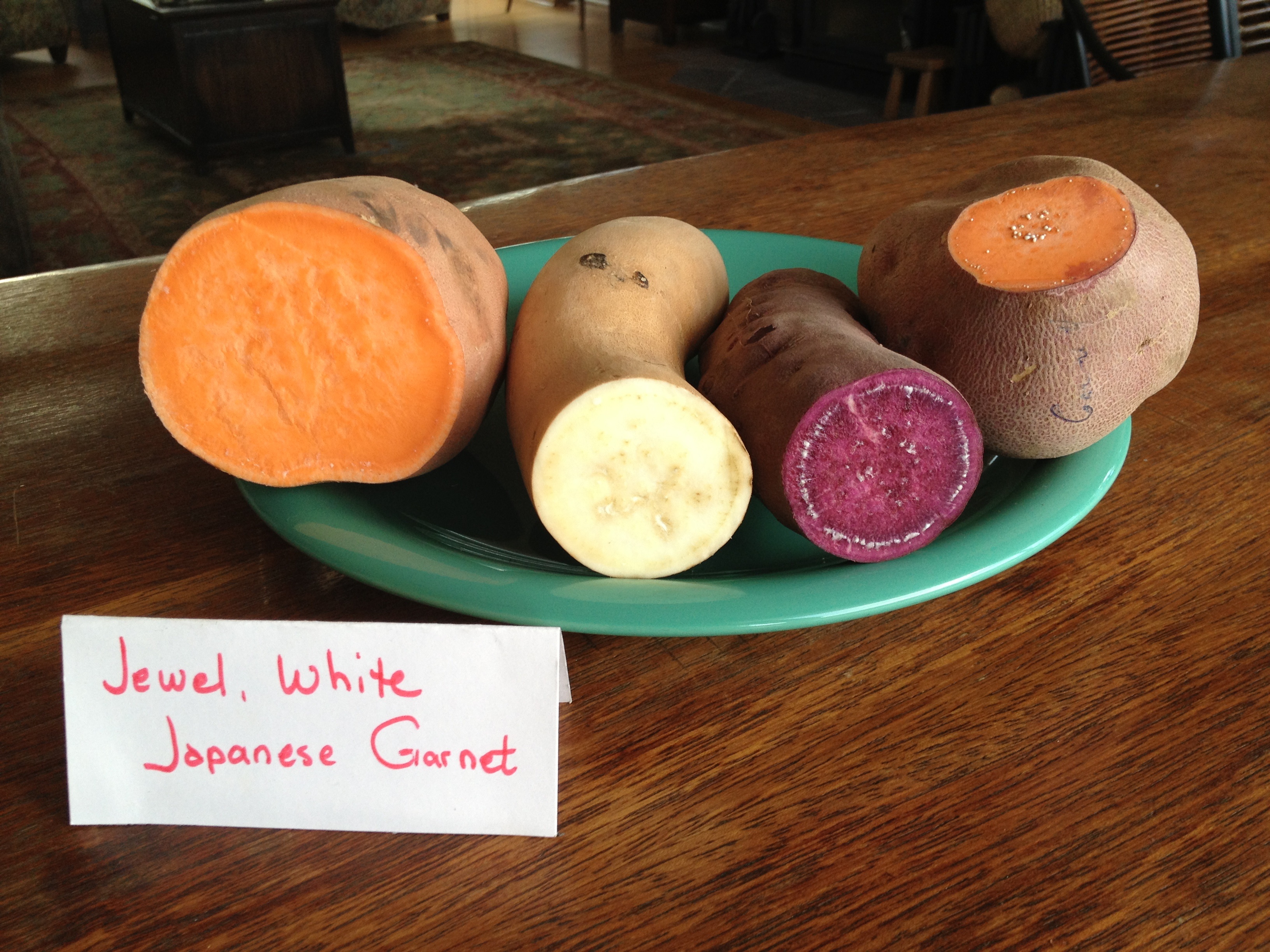 Pictures of Sweet Potato Varieties